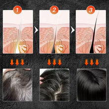 Load image into Gallery viewer, Polygonum Multiflorum Shampoo Soap Darken Hair Color Natural Hair
